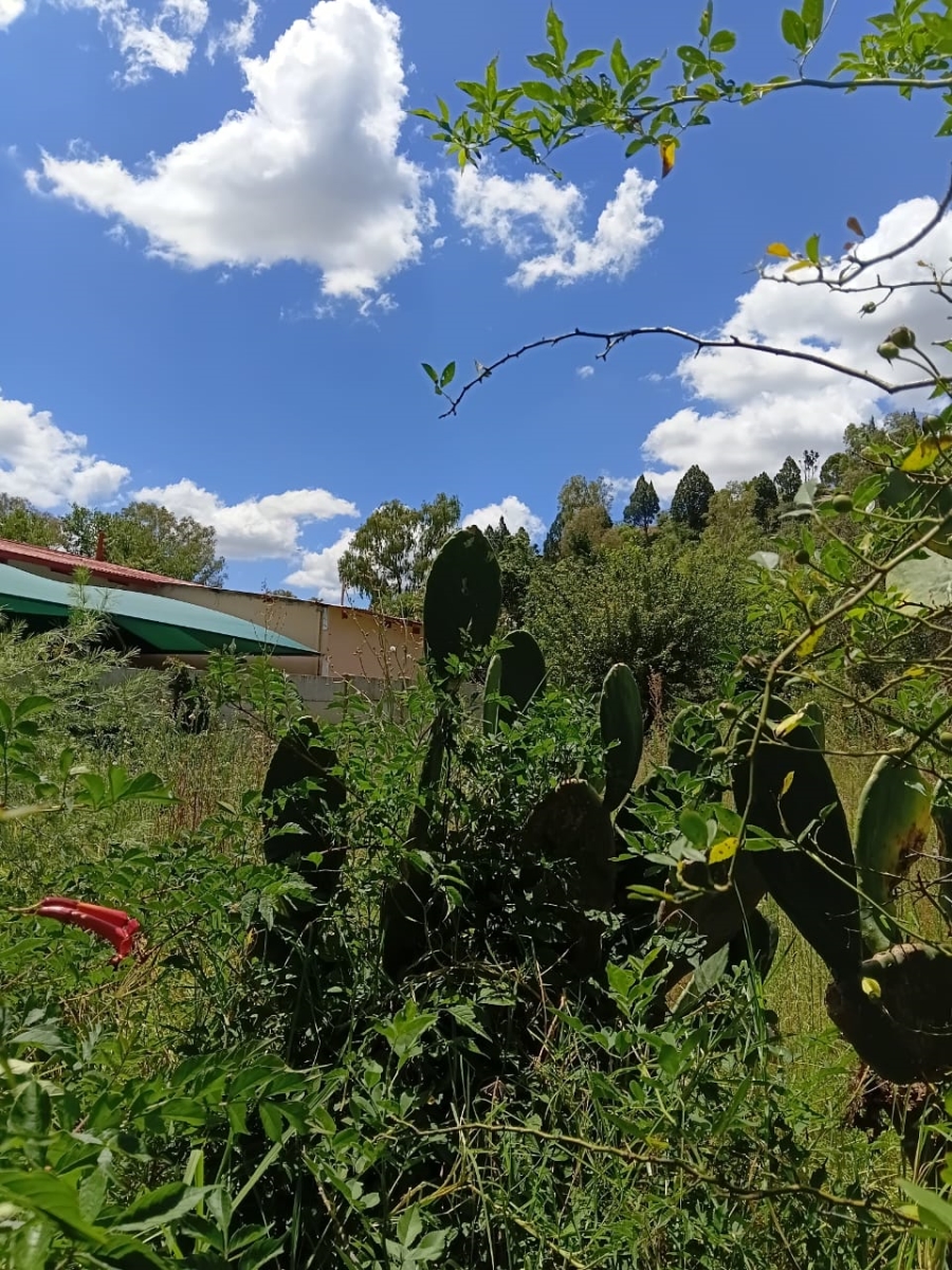 0 Bedroom Property for Sale in Senekal Free State